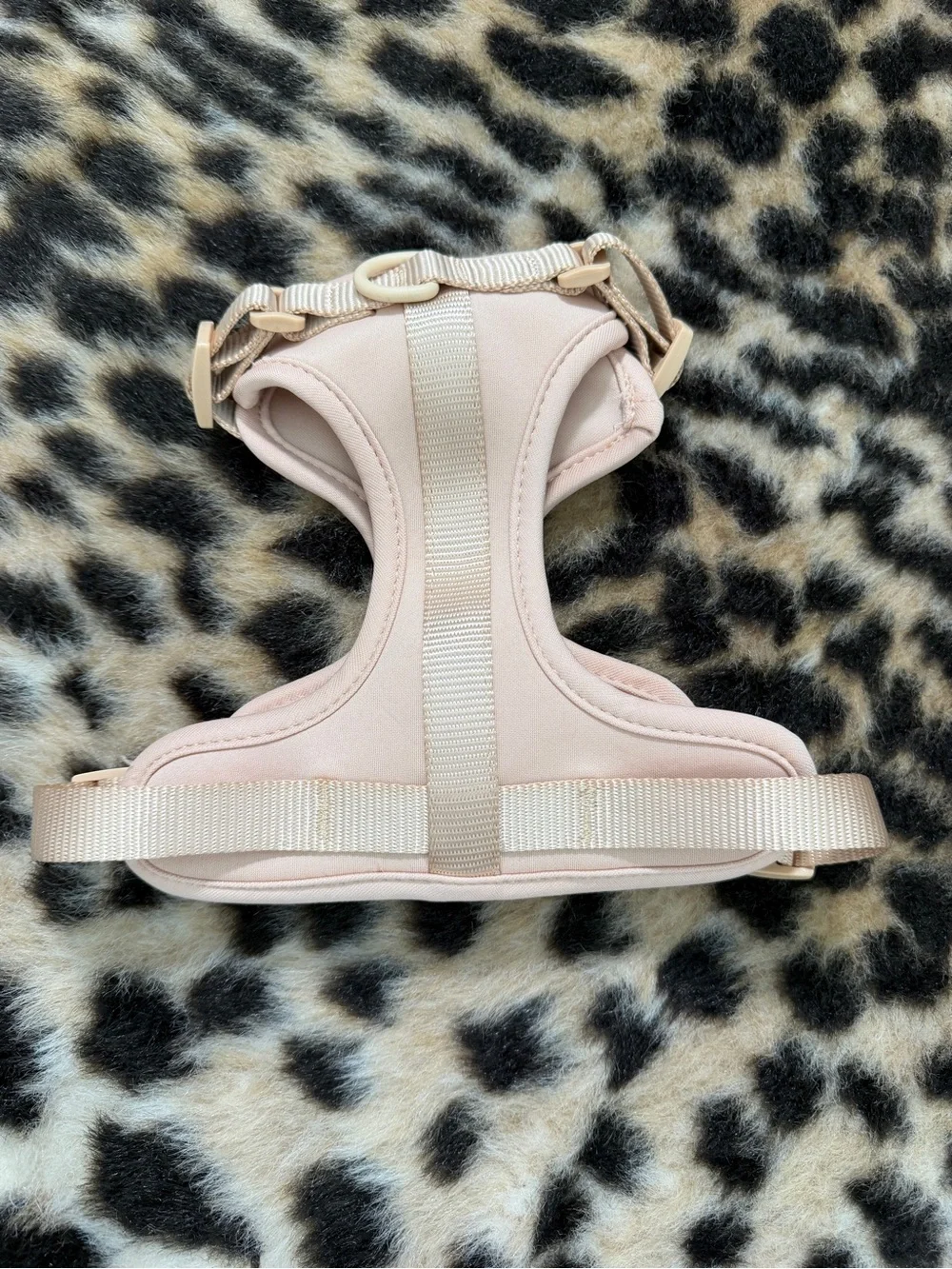 Wild One Cushioned Dog Harness